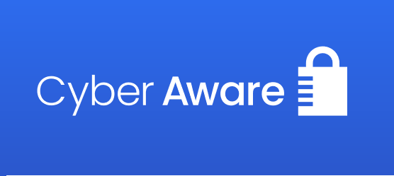 cyber aware blue